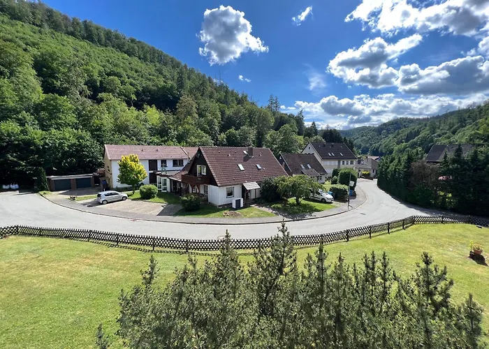 Vor lauter Bäumen B&B