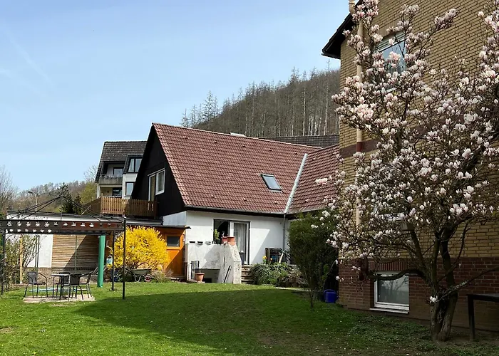 Vor lauter Bäumen B&B